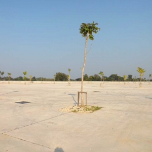 โครงการเทลานจอดรถหน้าวัดพระธาตุลำปางหลวง