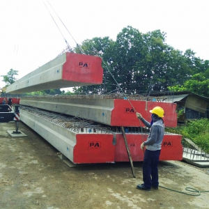 โครงการก่อสร้างทางหลวงหมายเลข 101 สายน่าน-อ.ทุ่งช้าง ตอน บ.ฝายมูล อ.ท่าวังผา และตอน อ.เชียงกลาง-อ.ทุ่งช้าง