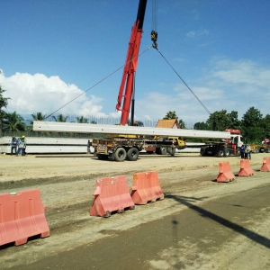 โครงการก่อสร้างทางหลวงหมายเลข 101 สายน่าน-อ.ทุ่งช้าง ตอน บ.ฝายมูล อ.ท่าวังผา และตอน อ.เชียงกลาง-อ.ทุ่งช้าง